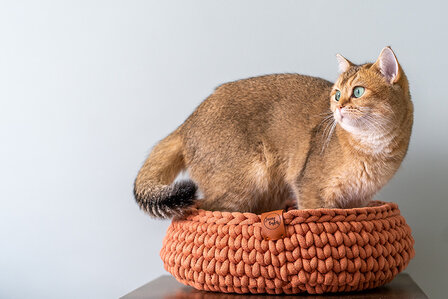 Sunny Basket - Terracotta