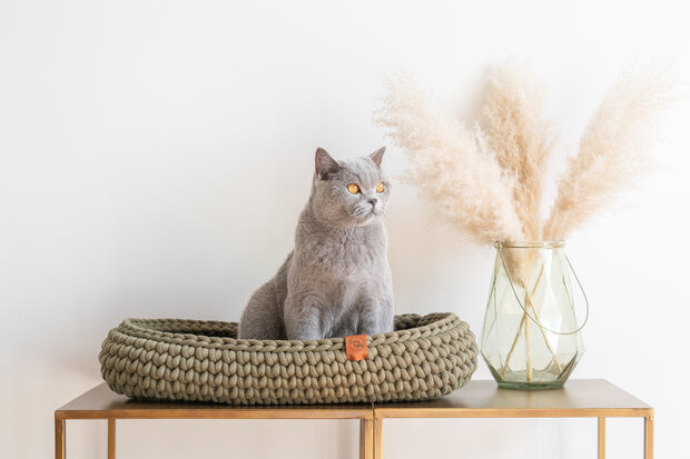 Sunny Basket - Avocado