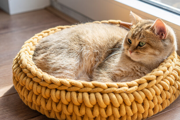 Sunny Basket - Okergeel